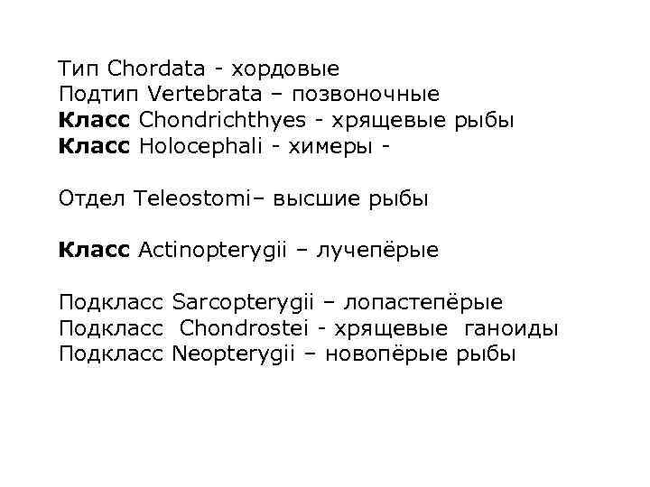 Тип Chordata - хордовые Подтип Vertebrata – позвоночные Класс Chondrichthyes - хрящевые рыбы Класс