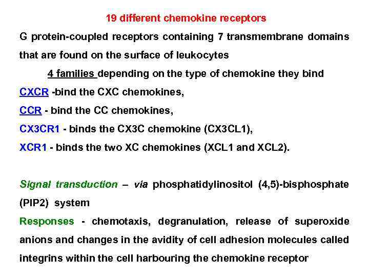19 different chemokine receptors G protein-coupled receptors containing 7 transmembrane domains that are found