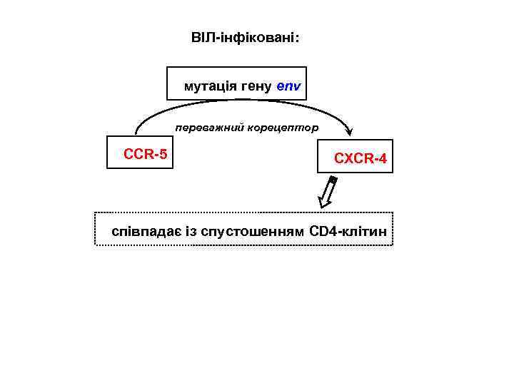 ВІЛ-інфіковані: мутація гену env переважний корецептор CCR-5 CXCR-4 співпадає із спустошенням CD 4 -клітин
