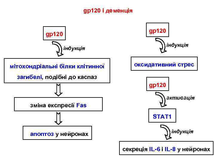 gp 120 і деменція gp 120 індукція мітохондріальні білки клітинної оксидативний стрес загибелі, подібні