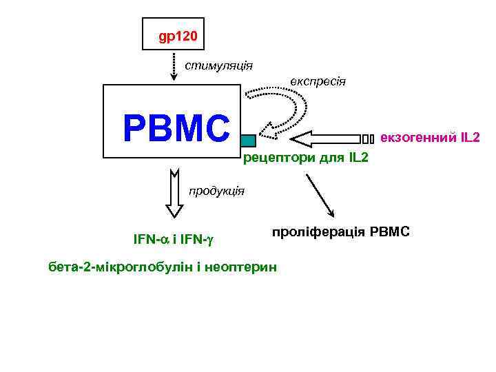gp 120 стимуляція експресія PBMC екзогенний IL 2 рецептори для IL 2 продукція IFN-