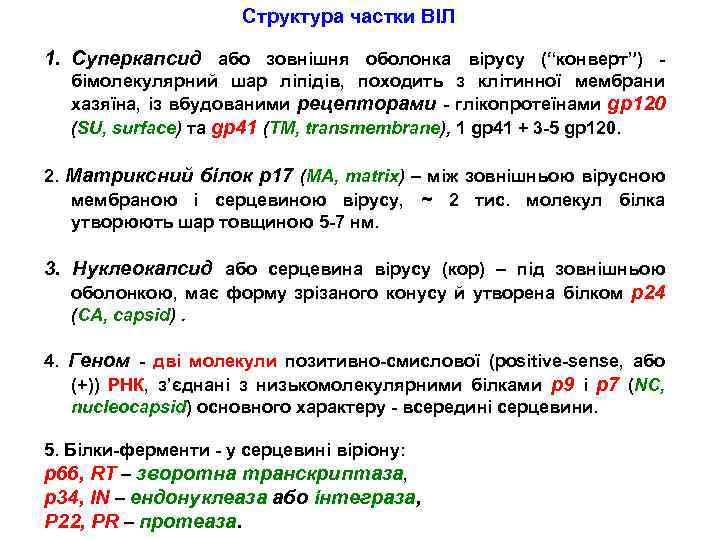 Структура частки ВІЛ 1. Суперкапсид або зовнішня оболонка вірусу (“конверт”) - бімолекулярний шар ліпідів,