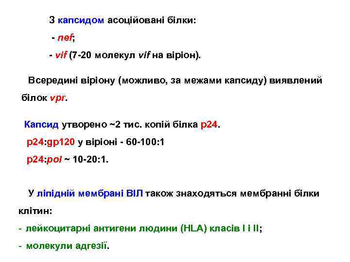З капсидом асоційовані білки: - nef; - vif (7 -20 молекул vif на віріон).