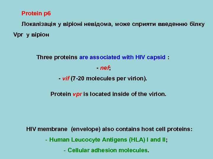 Protein p 6 Локалізація у віріоні невідома, може сприяти введенню білку Vpr у віріон