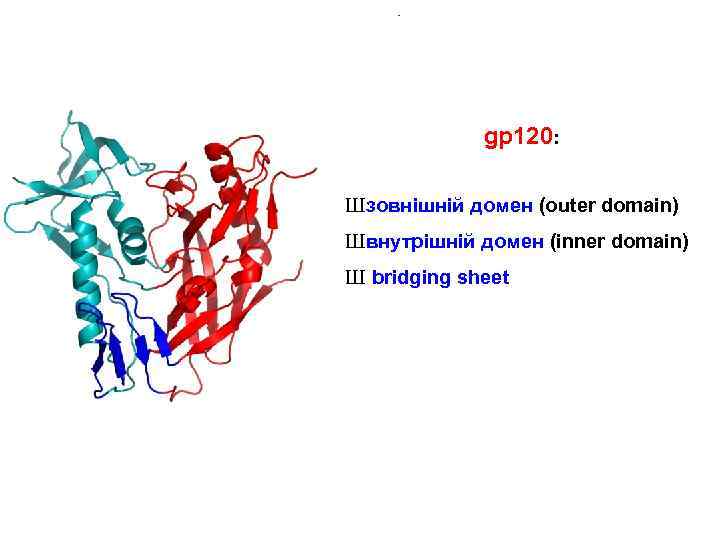 gp 120: Ш зовнішній домен (outer domain) Ш внутрішній домен (inner domain) Ш bridging