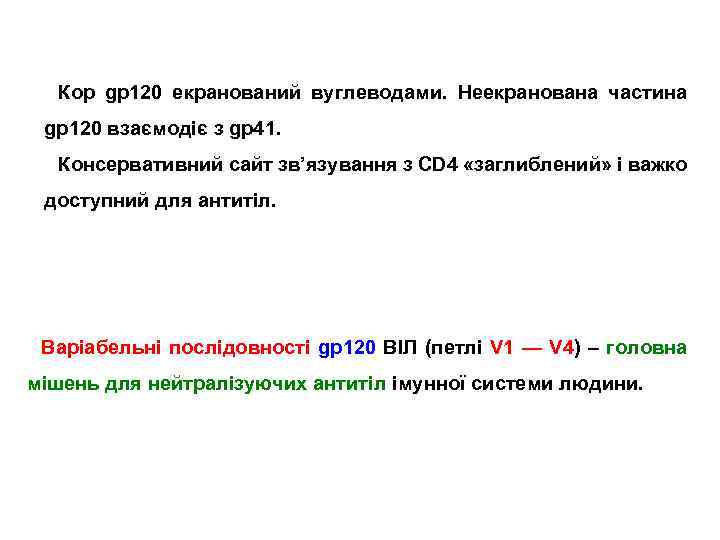 Кор gp 120 екранований вуглеводами. Неекранована частина gp 120 взаємодіє з gp 41. Консервативний