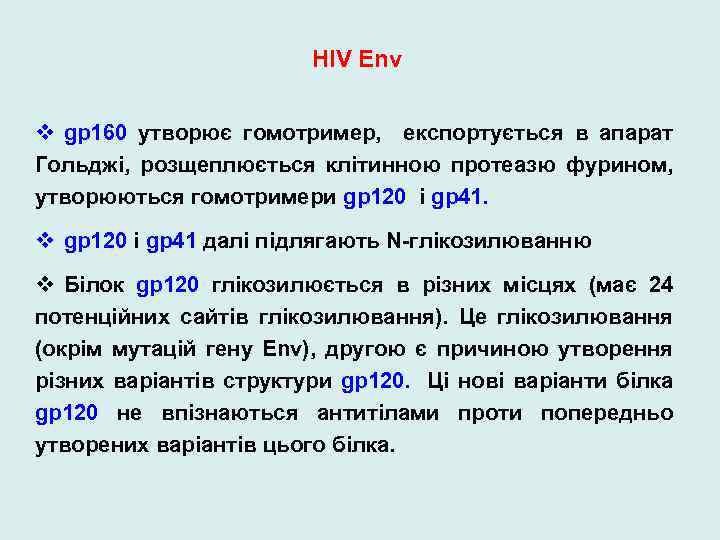 HIV Env v gp 160 утворює гомотример, експортується в апарат Гольджі, розщеплюється клітинною протеазю
