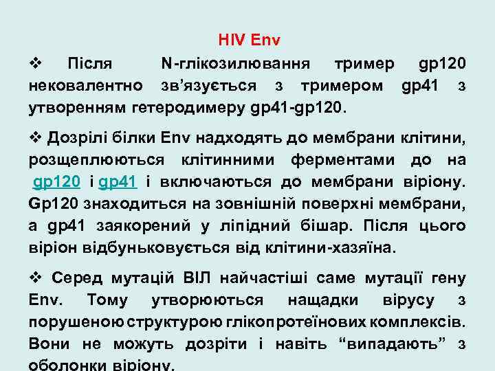HIV Env v Після N-глікозилювання тример gp 120 нековалентно зв’язується з тримером gp 41