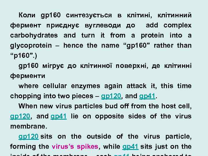 Коли gp 160 синтезується в клітині, клітинний фермент приєднує вуглеводи до add complex carbohydrates