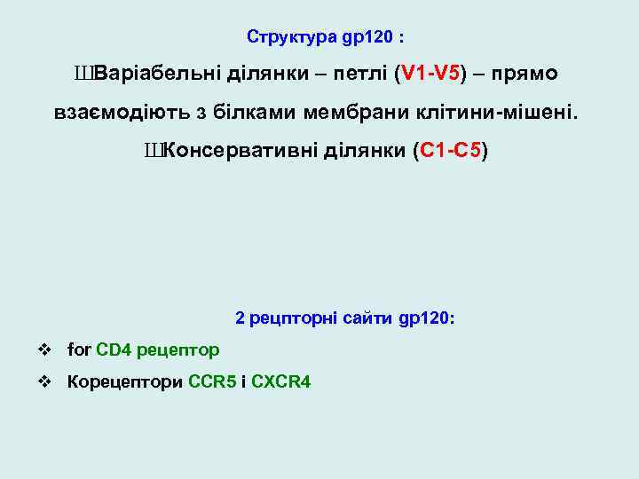 Структура gp 120 : ШВаріабельні ділянки – петлі (V 1 -V 5) – прямо