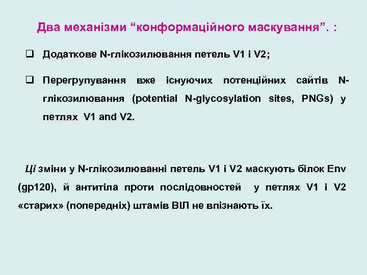 Два механізми “конформаційного маскування”. : q Додаткове N-глікозилювання петель V 1 і V 2;
