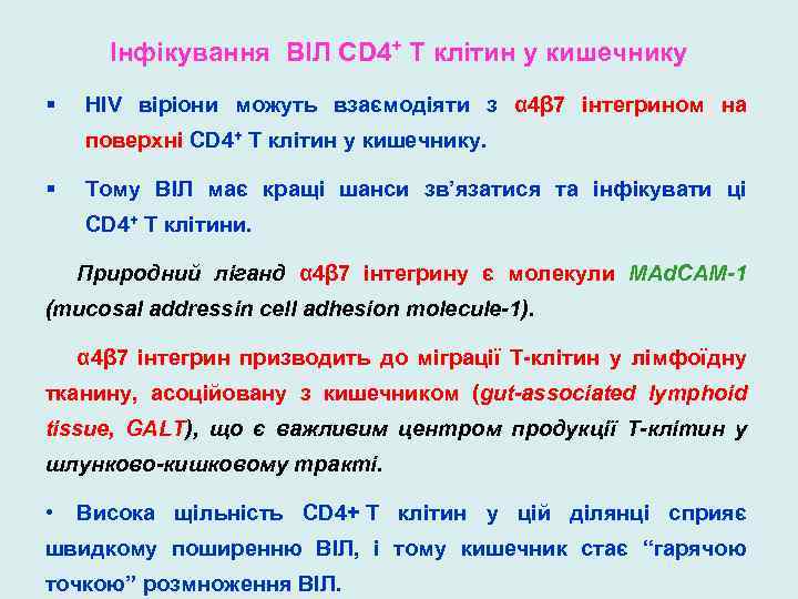 Інфікування ВІЛ CD 4+ T клітин у кишечнику § HIV віріони можуть взаємодіяти з