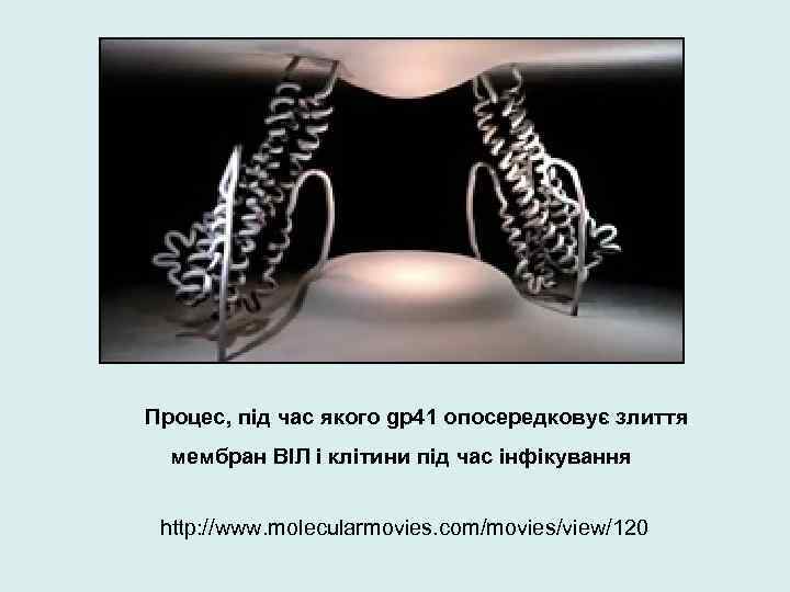 Процес, під час якого gp 41 опосередковує злиття мембран ВІЛ і клітини під час