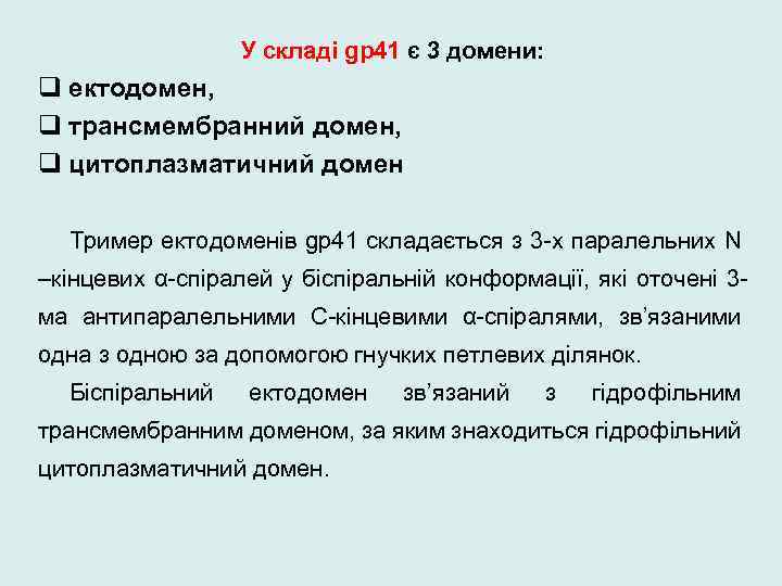У складі gp 41 є 3 домени: q ектодомен, q трансмембранний домен, q цитоплазматичний