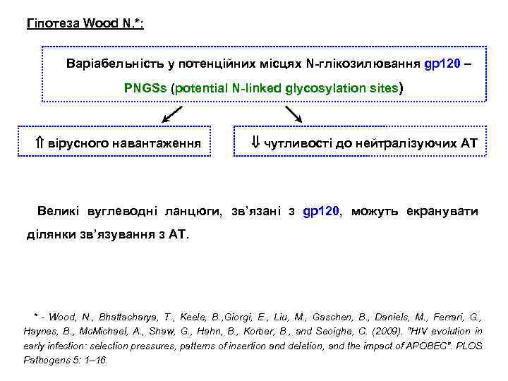Гіпотеза Wood N. *: Варіабельність у потенційних місцях N-глікозилювання gp 120 – PNGSs (potential