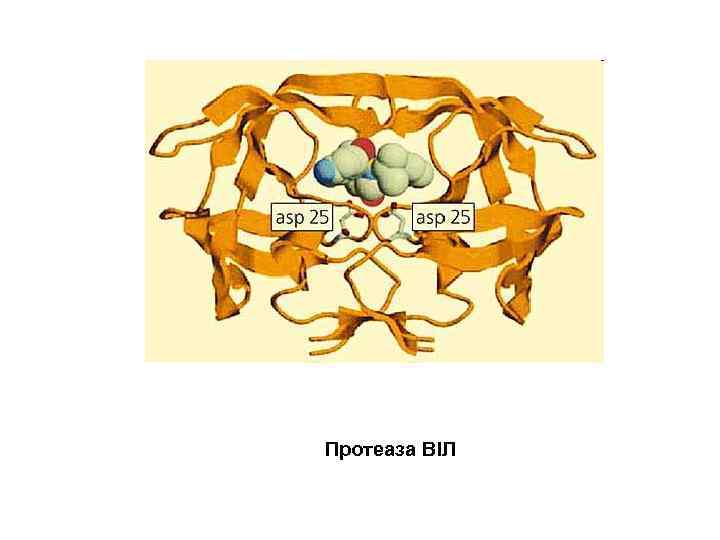 Протеаза ВІЛ 