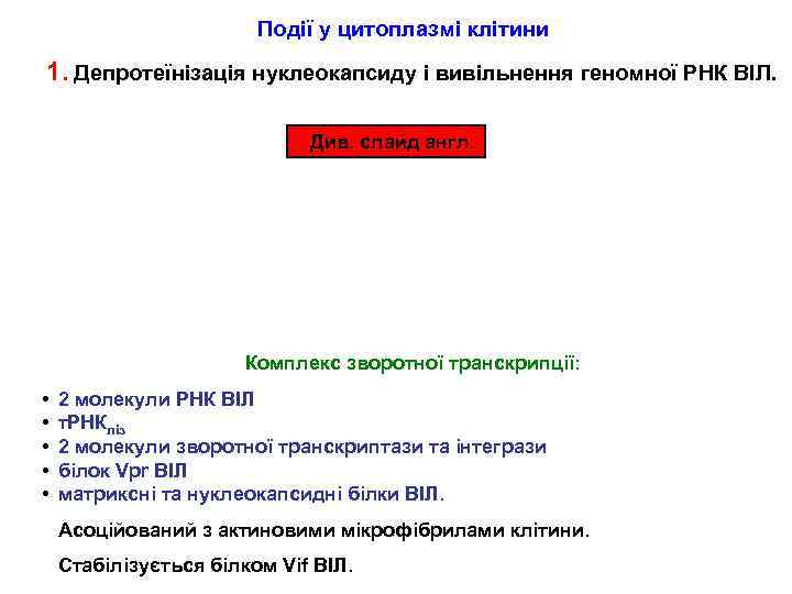 Події у цитоплазмі клітини 1. Депротеїнізація нуклеокапсиду і вивільнення геномної РНК ВІЛ. Див. слайд