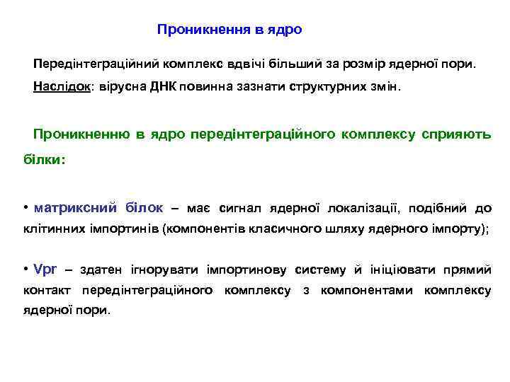 Проникнення в ядро Передінтеграційний комплекс вдвічі більший за розмір ядерної пори. Наслідок: вірусна ДНК