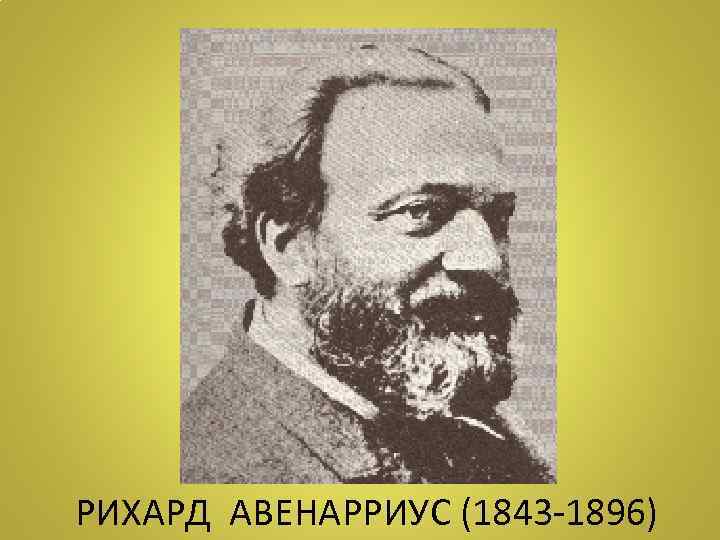 РИХАРД АВЕНАРРИУС (1843 -1896) 