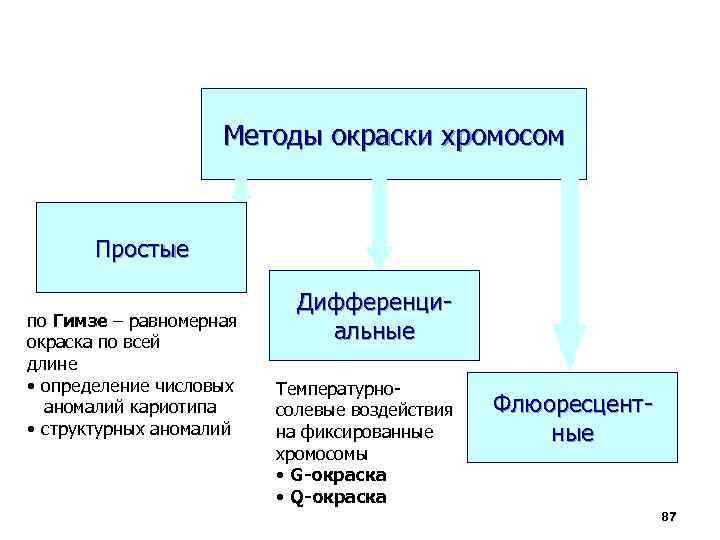 Метод хромосом. Методы дифференциального окрашивания хромосом. Методы дифференциальной окраски хромосом. Метод дифференциального окрашивания хромосом. Назовите основные методы окрашивания хромосом.