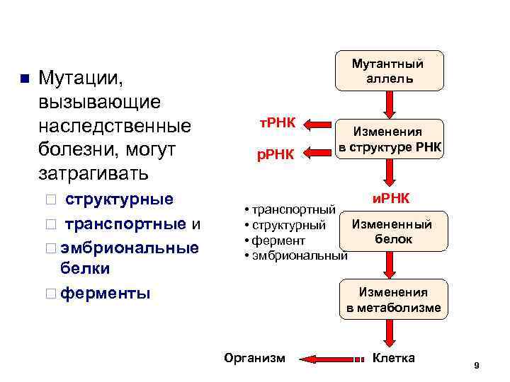 Генные болезни схема