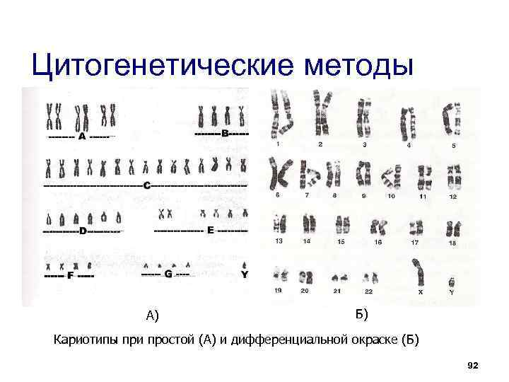 Генетическое исследование хромосом. Цитогенетический метод. Цитогенетический метод диагностики. Цитогенетический метод диагностики наследственных болезней. Цитогенетический мето.