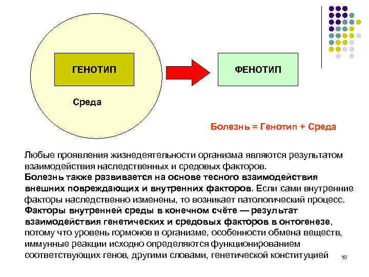 ГЕНОТИП ФЕНОТИП Среда Болезнь = Генотип + Среда Любые проявления жизнедеятельности организма являются результатом