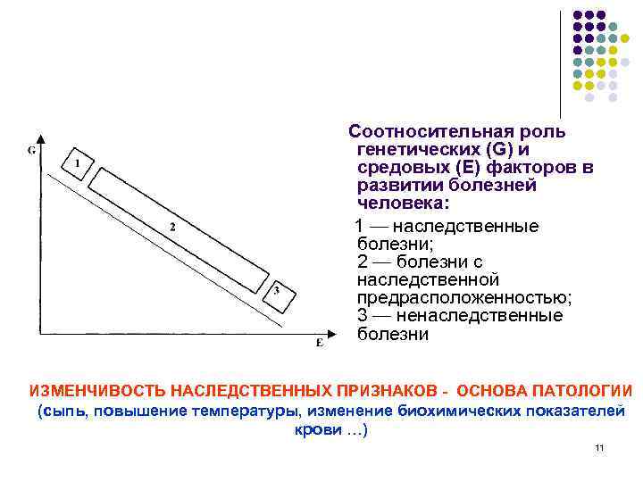 Соотносительная роль генетических (G) и средовых (Е) факторов в развитии болезней человека: 1 —