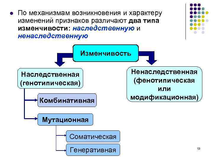 l По механизмам возникновения и характеру изменений признаков различают два типа изменчивости: наследственную и