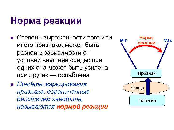 Норма реакции l l Степень выраженности того или иного признака, может быть разной в