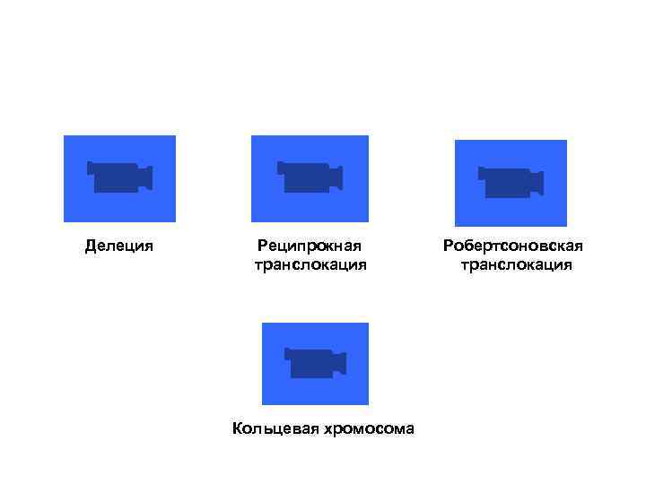 Делеция Реципрокная транслокация Кольцевая хромосома Робертсоновская транслокация 