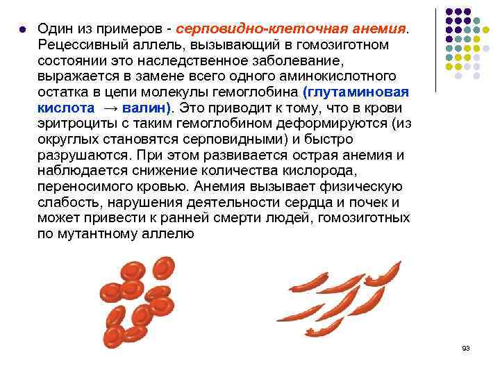 l Один из примеров - серповидно-клеточная анемия. Рецессивный аллель, вызывающий в гомозиготном состоянии это