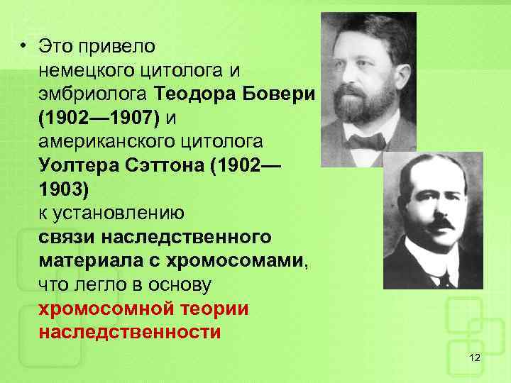  • Это привело немецкого цитолога и эмбриолога Теодора Бовери (1902— 1907) и американского