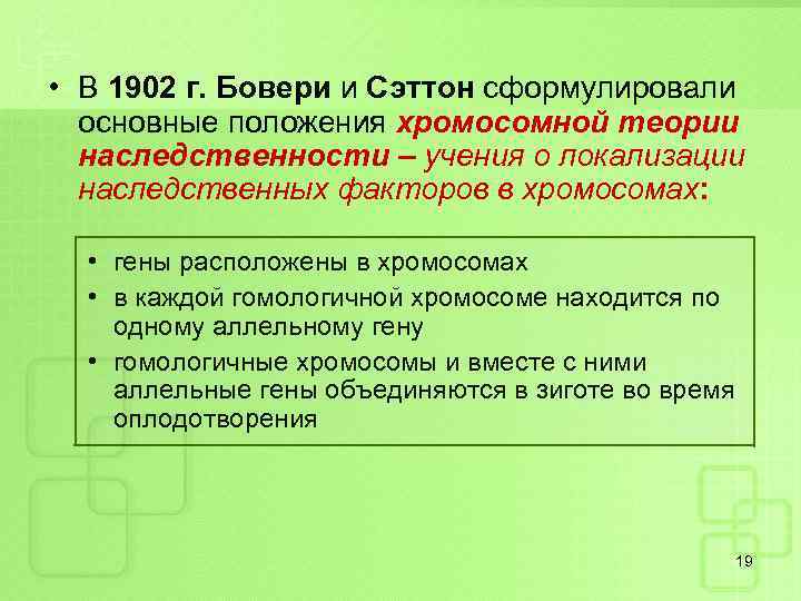  • В 1902 г. Бовери и Сэттон сформулировали основные положения хромосомной теории наследственности