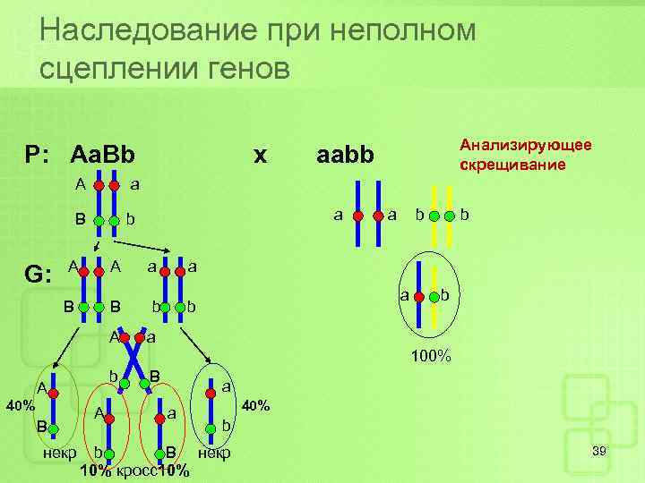 Наследование при неполном сцеплении генов Р: Aa. Bb А G: b aabb a B