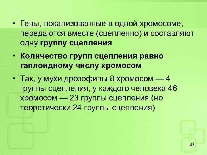  • Гены, локализованные в одной хромосоме, передаются вместе (сцепленно) и составляют одну группу