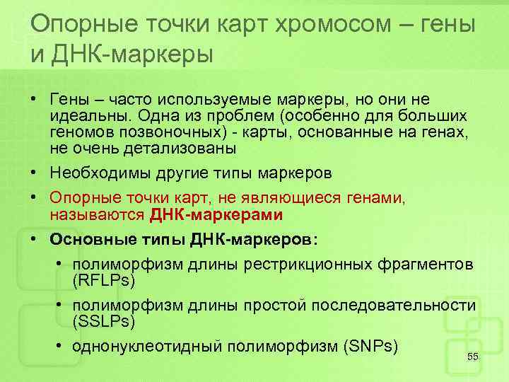 Опорные точки карт хромосом – гены и ДНК-маркеры • Гены – часто используемые маркеры,