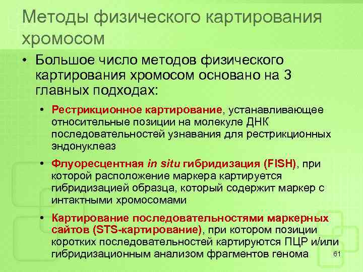 Методы физического картирования хромосом • Большое число методов физического картирования хромосом основано на 3