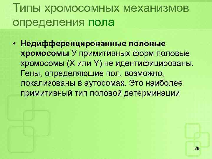 Типы хромосомных механизмов определения пола • Недифференцированные половые хромосомы У примитивных форм половые хромосомы