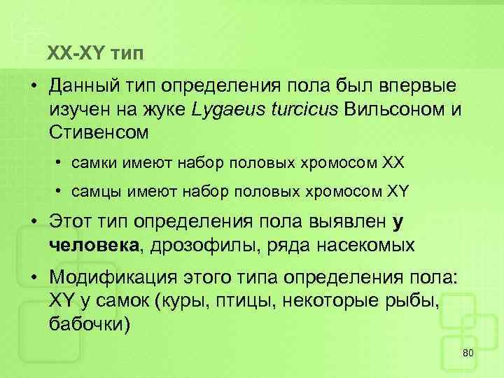 ХХ-ХY тип • Данный тип определения пола был впервые изучен на жуке Lygaeus turcicus