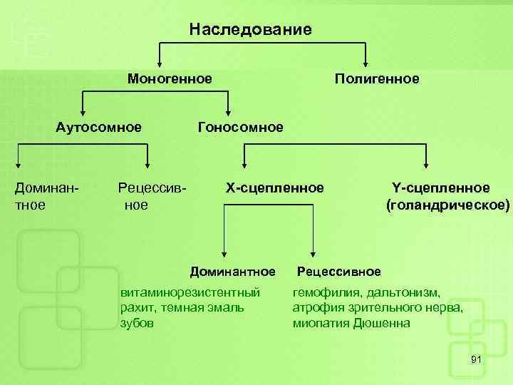 Наследование Моногенное Аутосомное Доминантное Рецессивное Полигенное Гоносомное Х-сцепленное Доминантное витаминорезистентный рахит, темная эмаль зубов