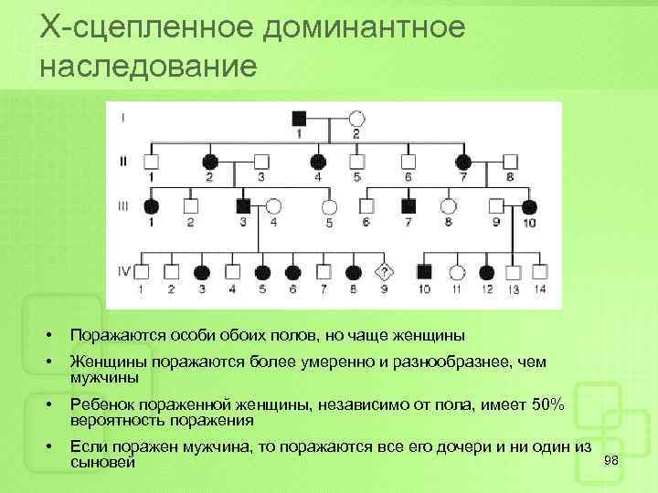 Х-сцепленное доминантное наследование • Поражаются особи обоих полов, но чаще женщины • Женщины поражаются