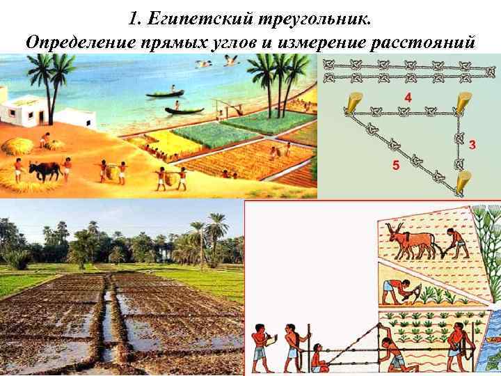 Приборы для построения углов на местности. Определение египетского треугольника. Как египтяне строили прямые углы. Священный Египетский треугольник метод пропорционирования. Египтяне строившие прямые углы.