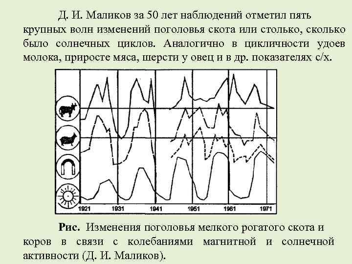 Биологические ритмы картинки