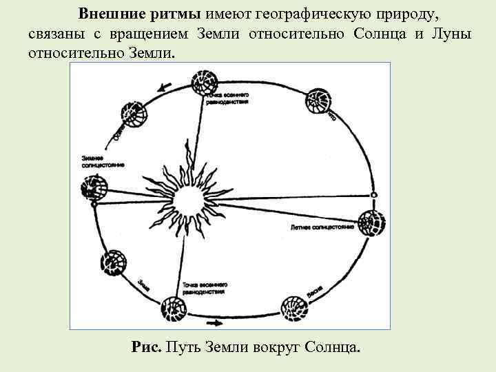 Схема вращения земли вокруг солнца