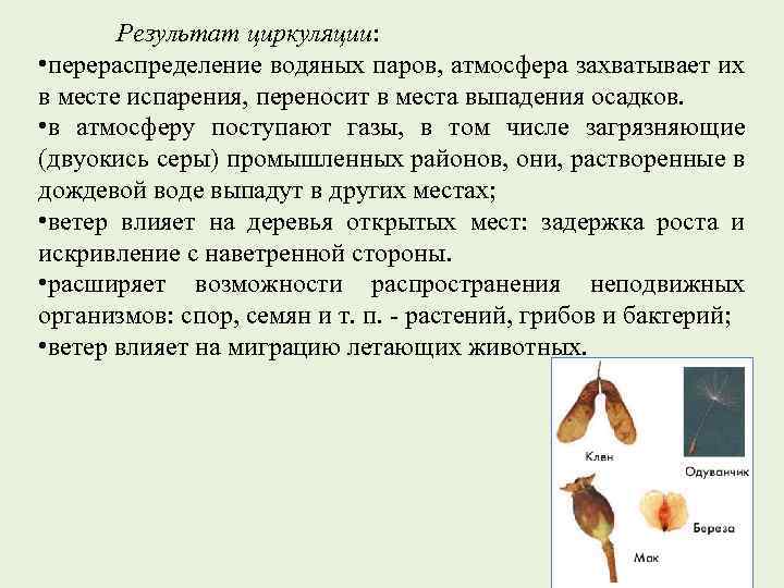 Результат циркуляции: • перераспределение водяных паров, атмосфера захватывает их в месте испарения, переносит в