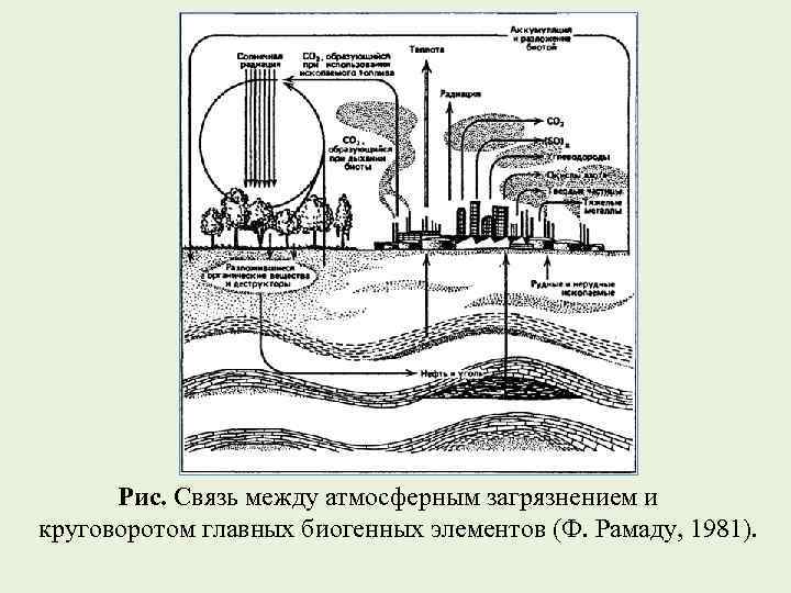Рис. Связь между атмосферным загрязнением и круговоротом главных биогенных элементов (Ф. Рамаду, 1981). 