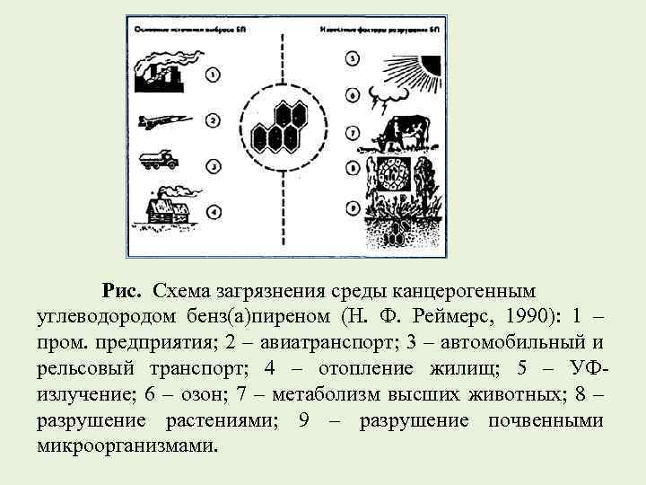 Рис. Схема загрязнения среды канцерогенным углеводородом бенз(а)пиреном (Н. Ф. Реймерс, 1990): 1 – пром.
