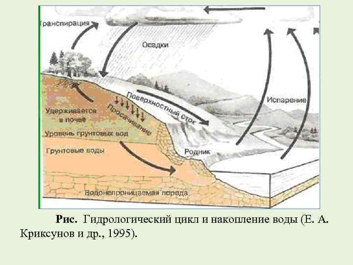Рис. Гидрологический цикл и накопление воды (Е. А. Криксунов и др. , 1995). 