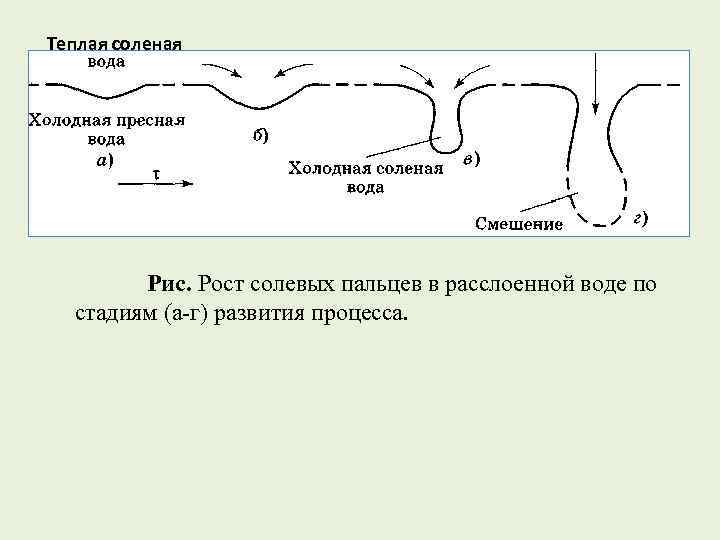 Теплая соленая Рис. Рост солевых пальцев в расслоенной воде по стадиям (а-г) развития процесса.